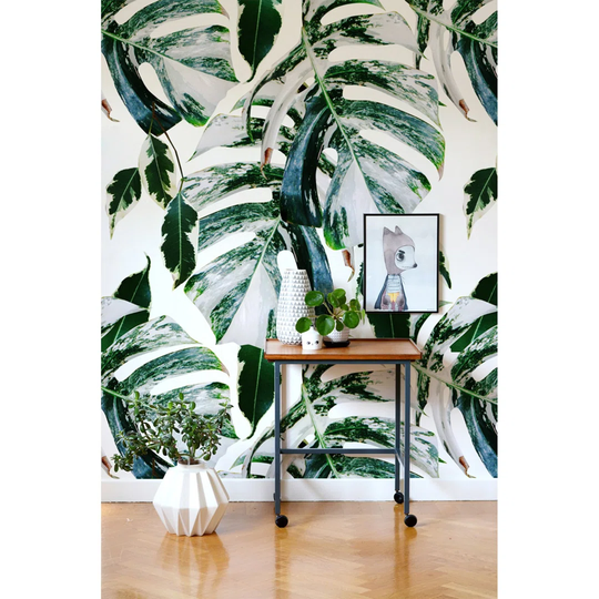 Farfan No Pattern and Not Solid Colour Wallpaper