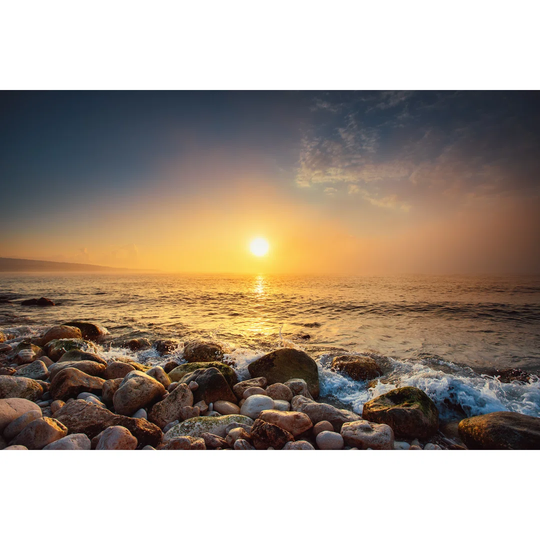 Tropical Colorful Sunrise