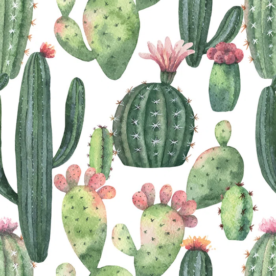 Walllpaper Roll 312X219cm Kitchen Livingroom Bedroom Mural Decoration Wallpaper Material With Print - Cacti Botanical Desert Mexican Thorny Ery
