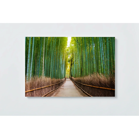 Bamboo Motif Magnetic Wall Mounted Cork Board