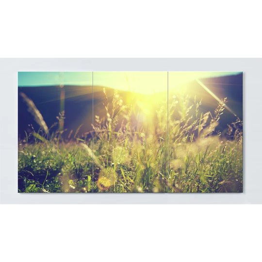 Meadow Motif Magnetic Wall Mounted Cork Board