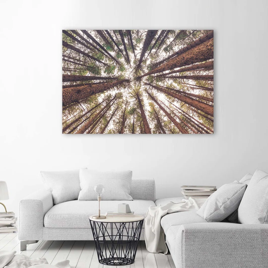 Canvas Print Pine Nature Forest Green