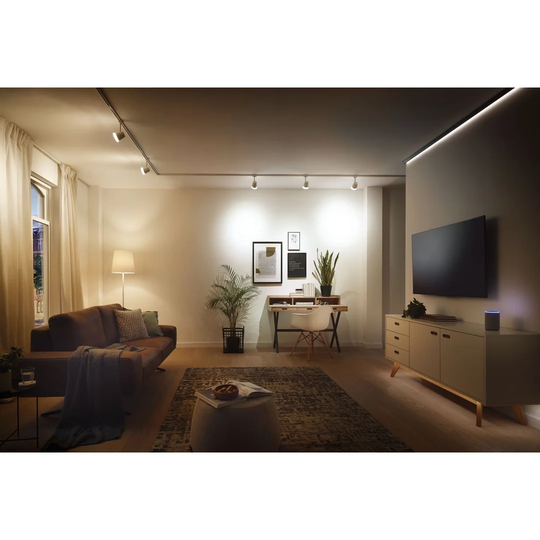 Wall Mounted Dimmer
