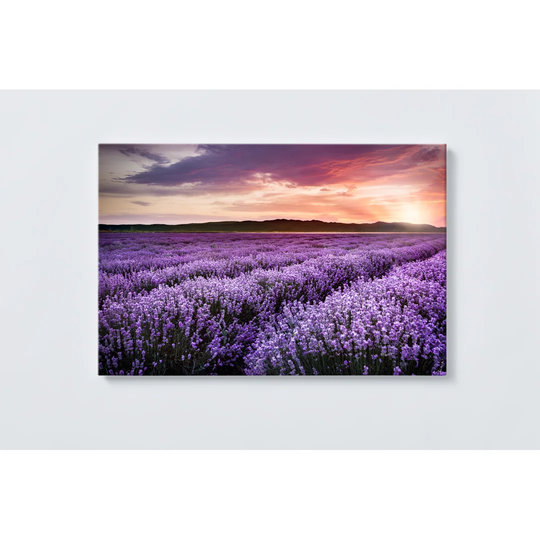 Meadow Magnetic Wall Mounted Cork Board