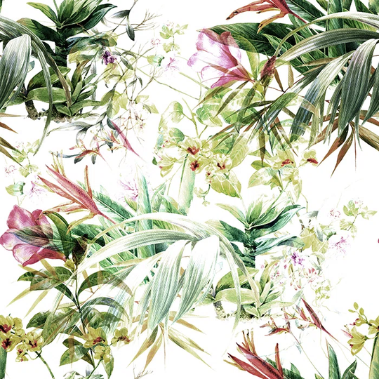 Teigan 4.16m x 2.54m Matte Wallpaper Roll