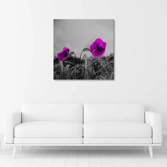 Canvas Print Purple Poppies