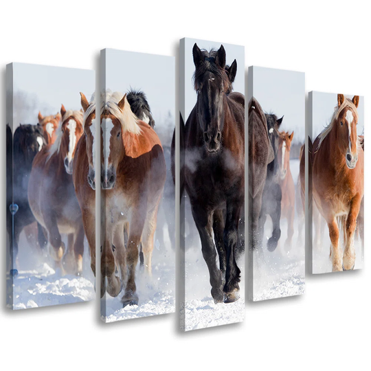 Canvas Print Horses At A Gallop Winter