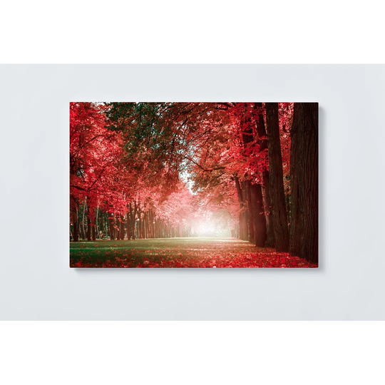 Forest Magnetic Wall Mounted Cork Board