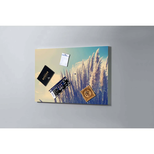 Sassnitz Magnetic Board, 75cm x 50cm, with 5 magnets