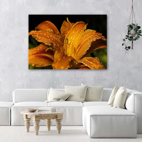 Canvas Print Lily Flower Nature Plants