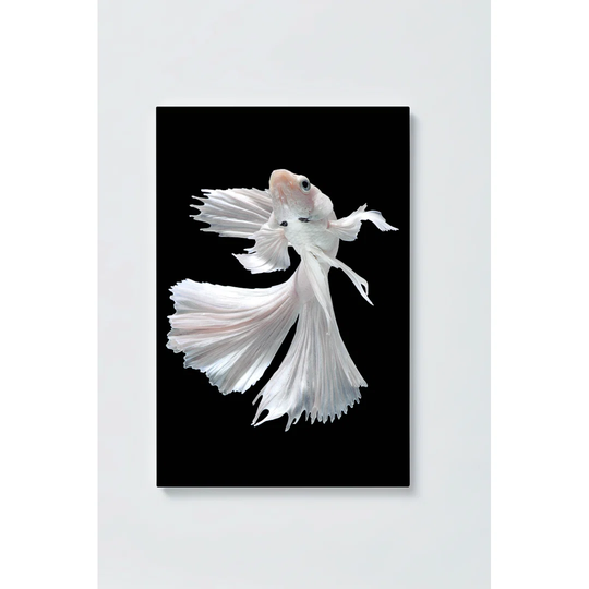 Fighting Fish Magnetic Wall Mounted Cork Board
