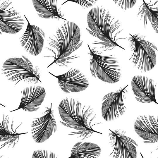 Walllpaper Roll 208X146cm Mural Decoration Kitchen Livingroom Bedroom Wallpaper Material With Print - Feather Minimalist