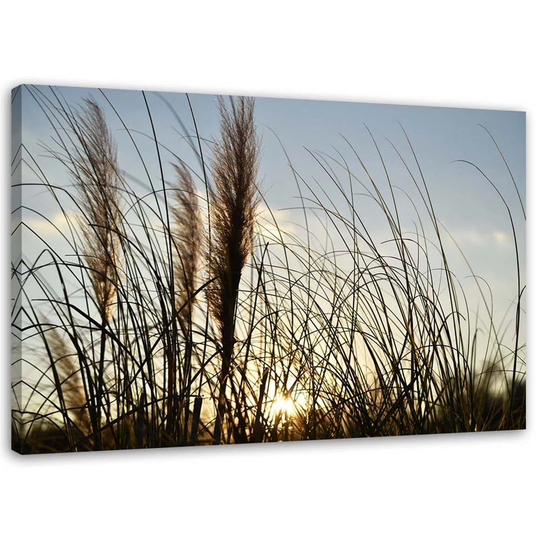 Canvas Print Reed Nature Lake