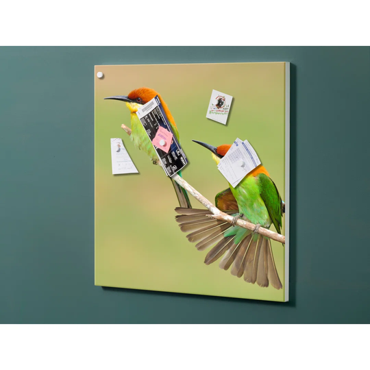 Notiz Motive Bird Magnetic Wall Mounted Cork Board