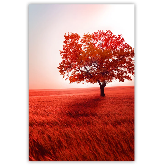 Canvas Print, Orange Landscapes 16298