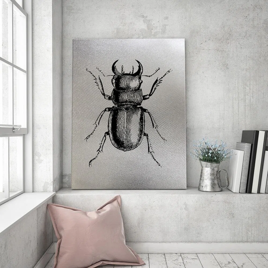 Canvas Print Beetle Insect