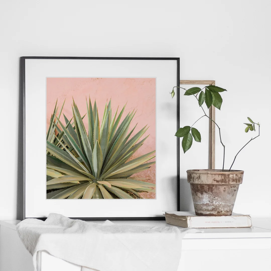 Palm on Pink N°4 - Picture Frame Photograph Print on Paper