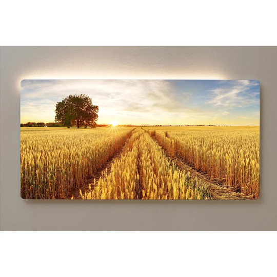 Backlight Motif Wall Picture Grain Field Magnetic Cork Board