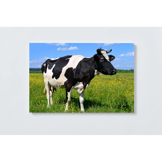 Cow Magnetic Wall Mounted Cork Board