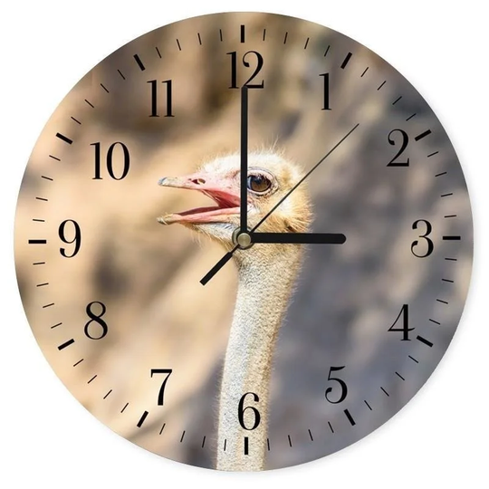 Ostrich Portrait 2 Silent Wall Clock