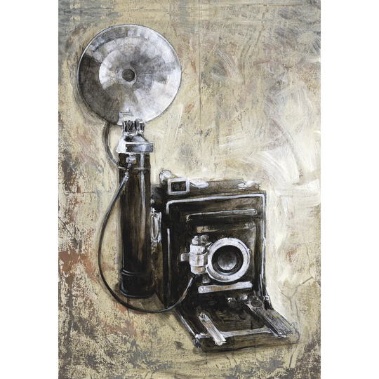 Camera Mate - Wrapped Canvas Painting