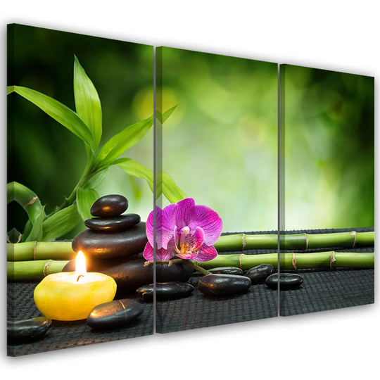 Canvas Print Orchid Bamboo Stones