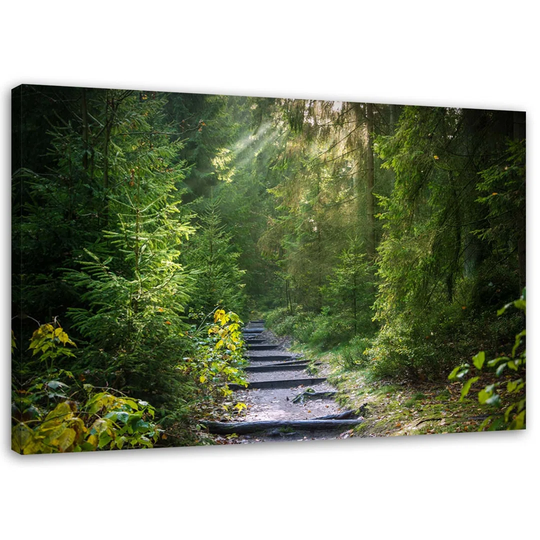 Canvas Print Green Forest Landscape