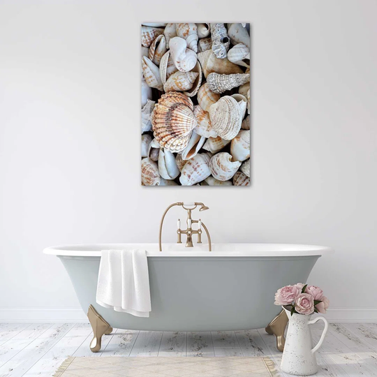 Poster, Close-Up On Seashells
