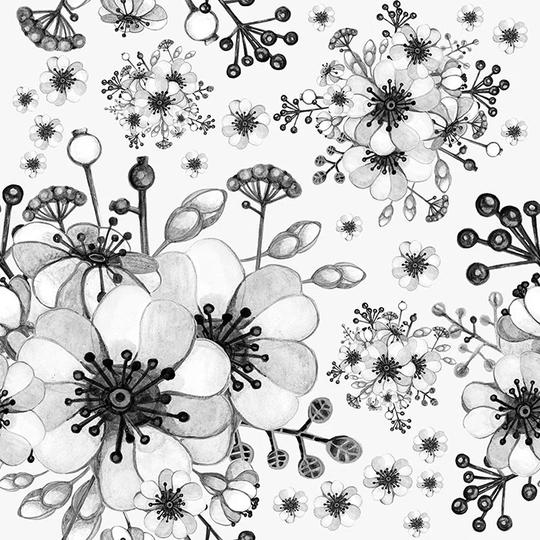 Balduino 4.16m x 2.54m Matte Wallpaper Roll