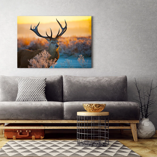 Canvas Print, Brown Animals 16784