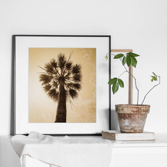 Square Palm Tree - Picture Frame Photograph Print on Paper