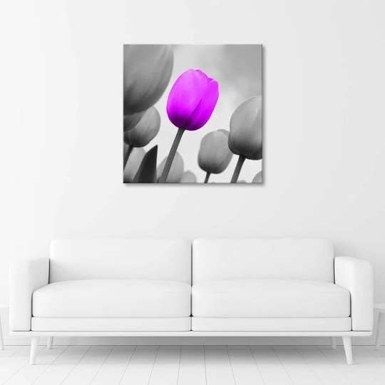 Canvas Print Tulip Blossom Purple Grey