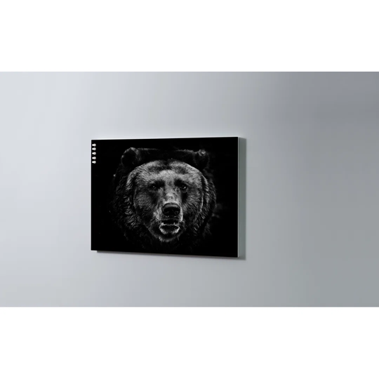 Bear Magnetic Wall Mounted Cork Board