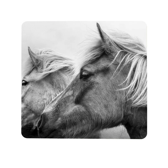 Horse Magnetic Wall Mounted Board