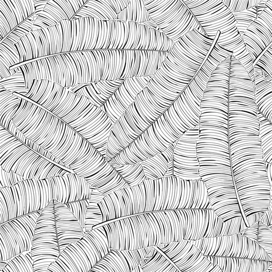 Walllpaper Roll 360X250cm Kitchen Livingroom Bedroom Mural Decoration Wallpaper Material With Print - Banana Leaves Minimalist