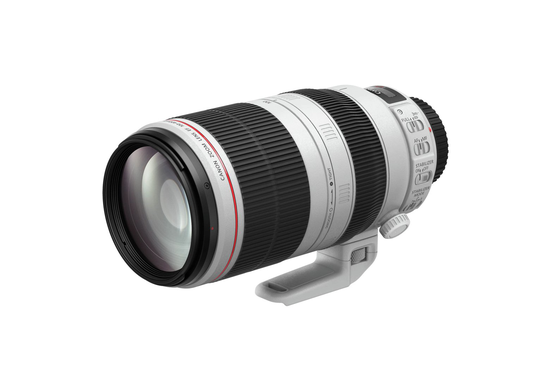 Canon EF 100-400mm f/4.5-5.6L IS II USM Lens