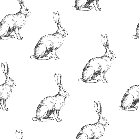 Johnpeter 4.16m x 2.54m Matte Wallpaper Roll