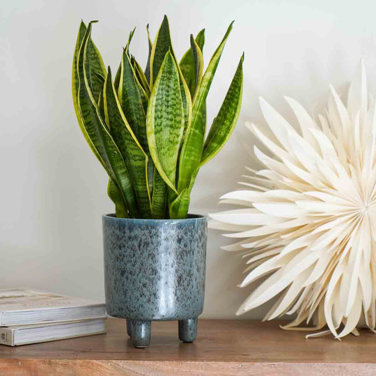 Ivyline Pisa Reactive Glaze Planter Glacier Blue H24CM D20CM