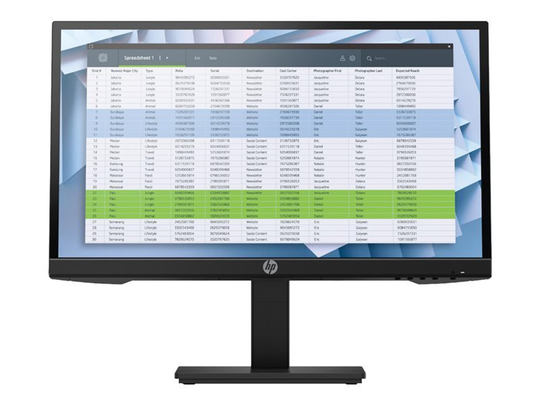 HP P22h G4 21.5" Full HD LED Monitor