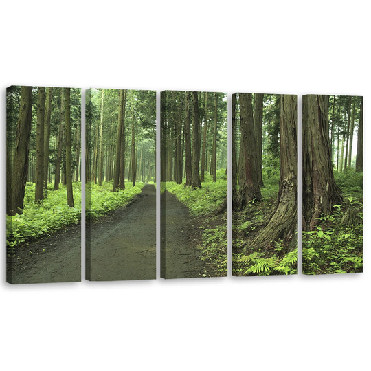 Forest Street Trees Nature