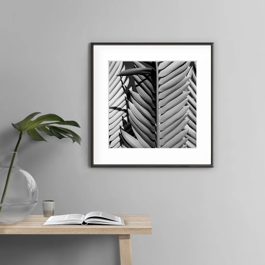 Botanic N°3 - Picture Frame Photograph Print on Paper