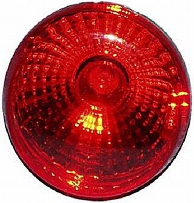 Combination Tail Light 2SB 965 039357
