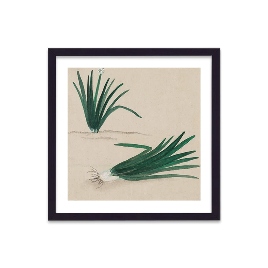 Vintage Japanese Vegetable Spring Onion by Vouvart - Picture Frame Graphic Art