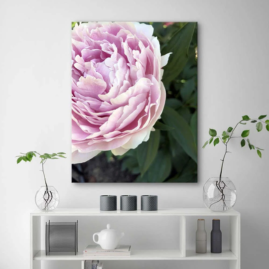 Canvas Print Peony Flower Plant