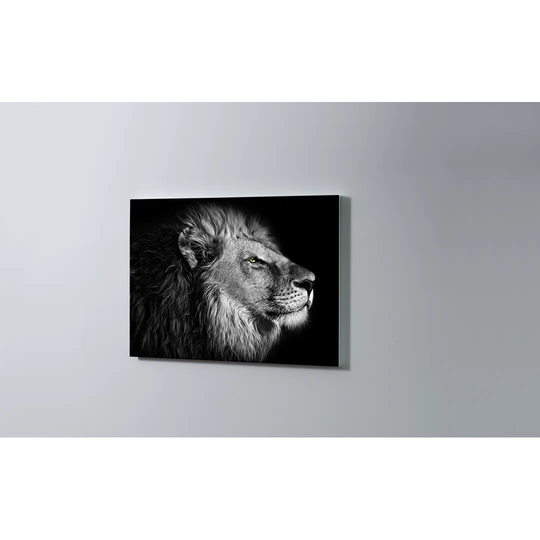 Lion Magnetic Wall Mounted Cork Board