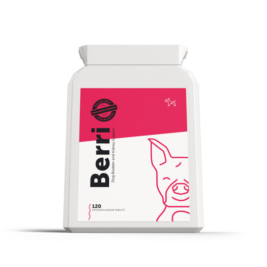 BERRI - Bladder & Kidney Cranberry Support for Dogs