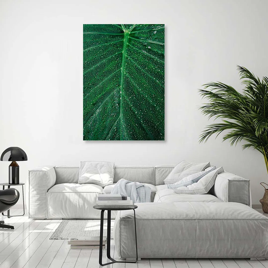 Canvas Print Leaf Plant Green Nature