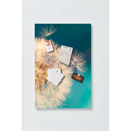 Dandelion Motif Magnetic Wall Mounted Cork Board