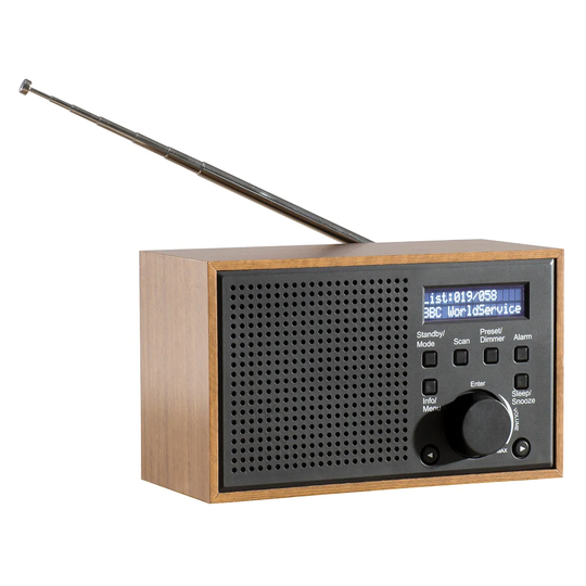 Daewoo Small Wooden Dab Radio