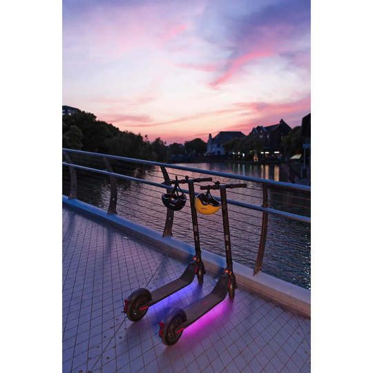 Segway E25E E- Scooter